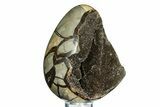 Septarian Dragon Egg Geode - Sparkly Black Crystals #308826-2